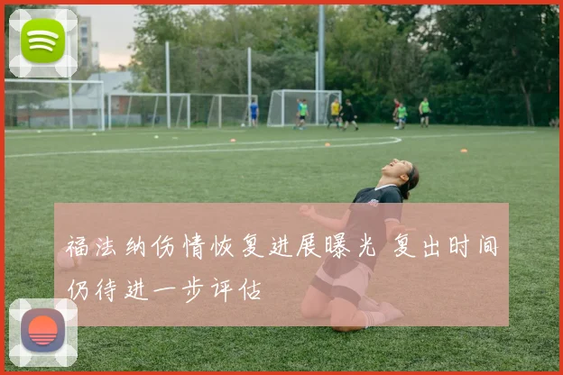 福法纳伤情恢复进展曝光 复出时间仍待进一步评估